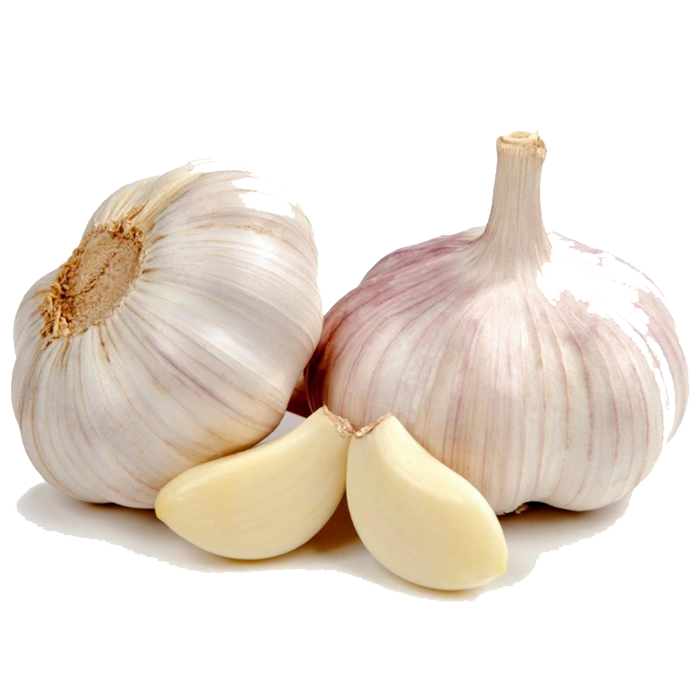 garlic